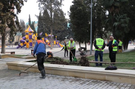 Gəncə Şəhər İcra Hakimiyyəti başçısı Niyazi Bayramovun tapşırığına əsasən şəhid ailələrinə qazilərə xüsusi diqqət və qayğı göstərilir