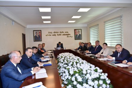 Hüseyn Əfəndiyev: Milli Qurtuluşdan Böyük qayıdışa