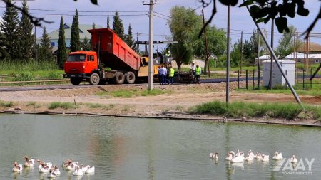 Salyan rayonunda 33 km uzunluğa malik yollar yenidən qurulur VİDEO/FOTO