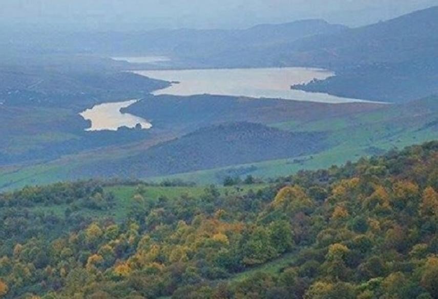 Vüqar Tağıyev yüksək peşəkarlığı ilə seçilir, tanınır