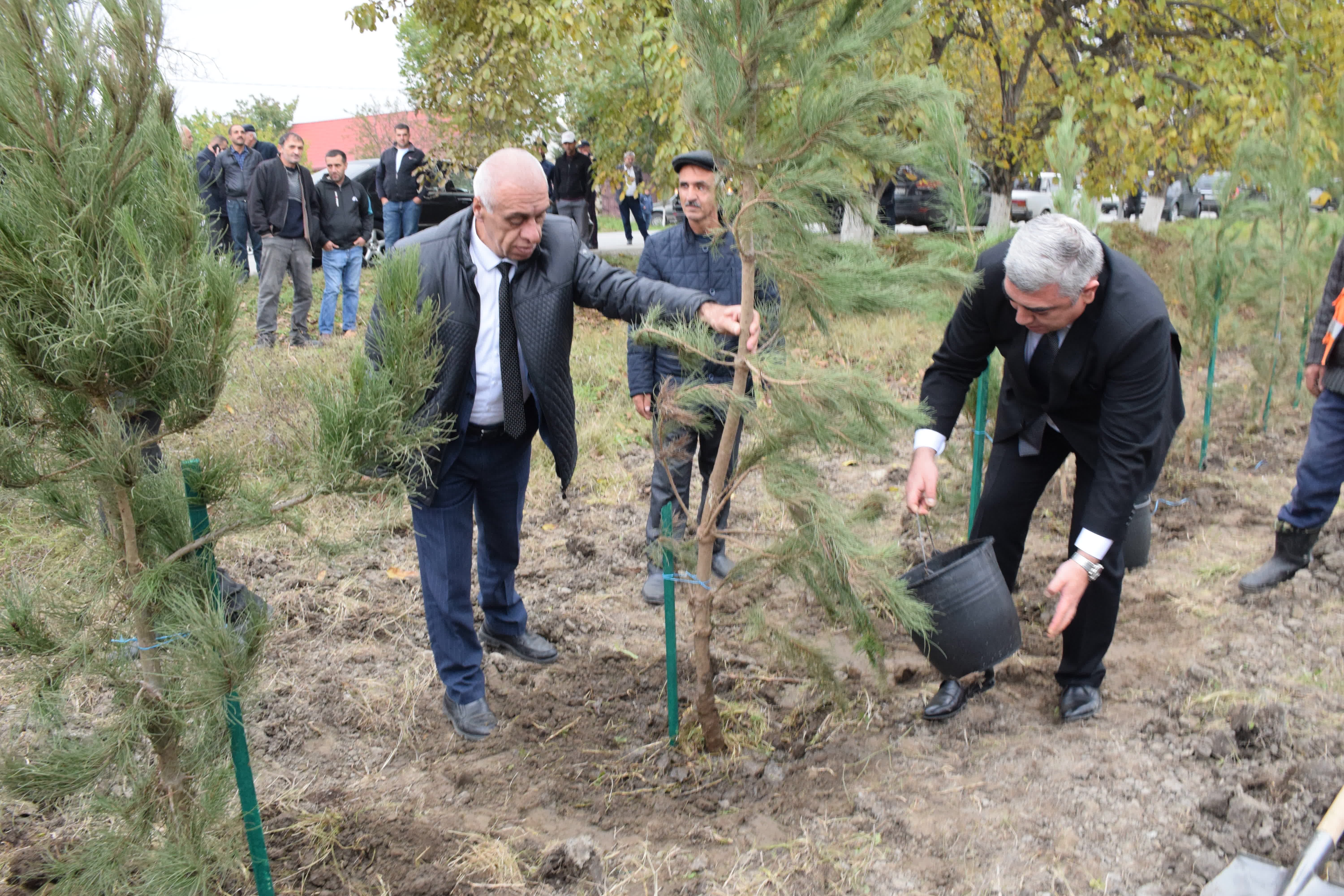 Quba Rayon İcra Hakimiyyətində silsilə tədbirlər davam edir - ÖZƏL