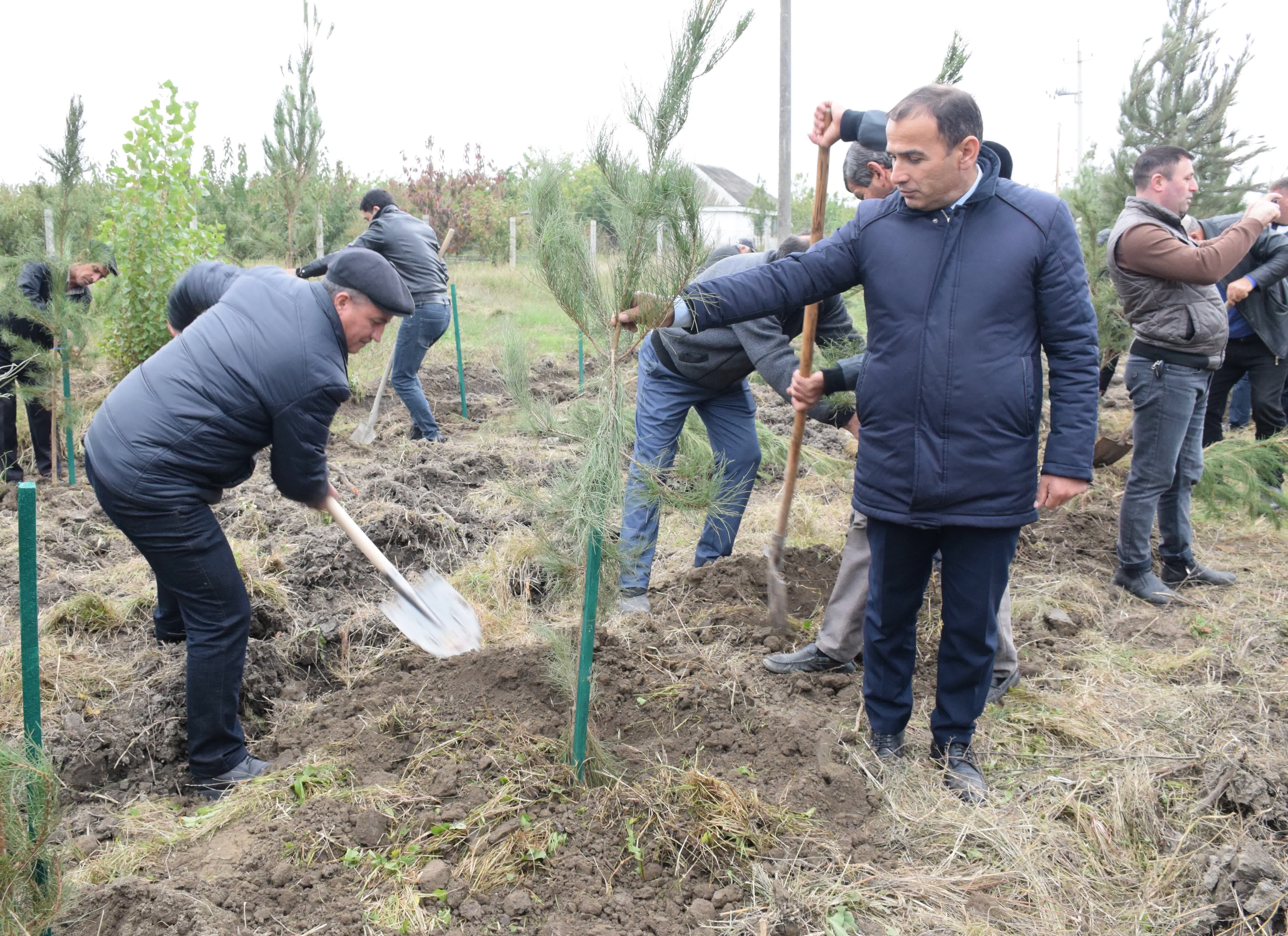 Quba Rayon İcra Hakimiyyətində silsilə tədbirlər davam edir - ÖZƏL