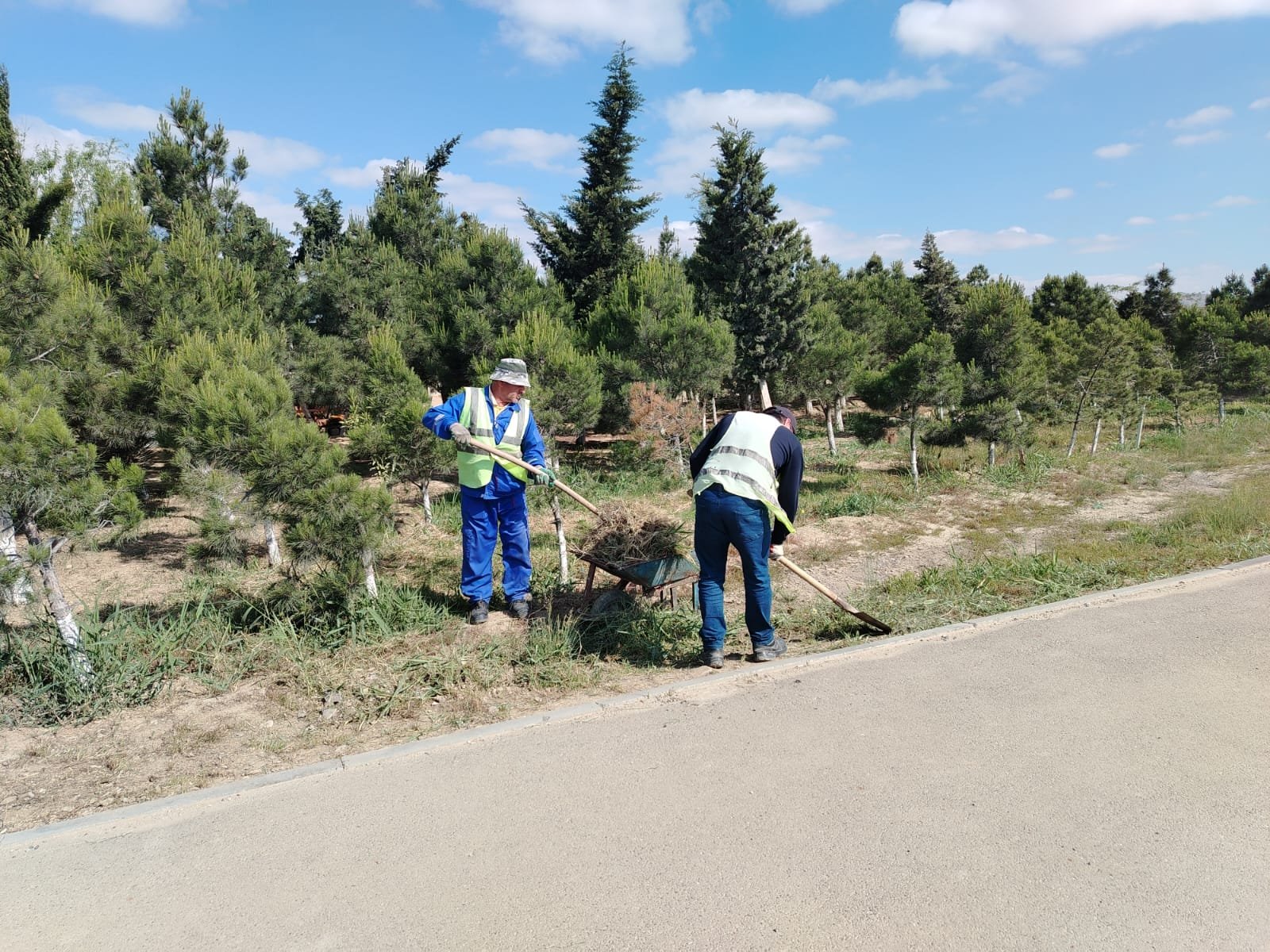 Namizəd İsmayılovun rəhbərliyi ilə şəhər infrastrukturu və mənzil-kommunal xidmətlərin mükəmməl idarə olunması Namizəd İsmayılovun rəhbərliyi ilə şəhər infrastrukturu və mənzil-kommunal xidmətlərin mükəmməl idarə olunması
