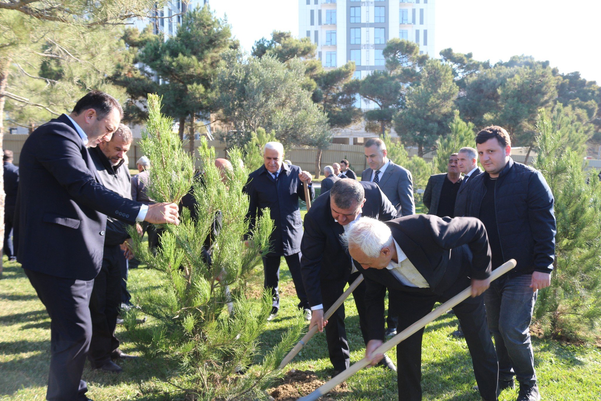 Xətai rayonunun kommunal nizamında sədaqət və məsuliyyət nümunəsi olan rəhbər sima